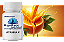 MIX SUPLEMENTAÇÃO BÁSICA - Magnésio Dimalato, Vitamina C, Vitamina D3, Vitamina K2 - Imagem 3