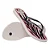 Chinelo Havaianas Slim Animals - Imagem 2