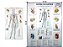 Banner Mapa Sistema Circulatório Anatomia do Corpo Humano Para Estudo Biologia Pôster Medicina 90x120CM - Imagem 2