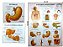 Mapa Sistema 90x120CM Digestório Banner Anatomia do Corpo Humano Para Estudo Biologia Pôster Medicina - Imagem 2