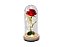 Enfeite decorativo Modelo Cúpula de Vidro e Base em madeira com Rosa Permanente - Imagem 1