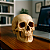 Enfeite Decorativo Cabeça Crânio Caveira Realista Grande 11CM Presente Halloween Anatomia Óssea - Imagem 7
