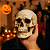 Enfeite Decorativo Cabeça Crânio Caveira Realista Extra Grande 17CM Presente Halloween Anatomia Óssea - Imagem 6