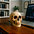 Enfeite Decorativo Cabeça Crânio Caveira Realista Pequeno 7CM Presente Halloween Anatomia Óssea - Imagem 6