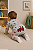 Kit Carter's Bebê Menino 3 Peças Body Calça E Body Manga Longa Original - Imagem 2