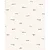 Kit de bodies Carter's - 5 bodies - Creme e Preto - Imagem 5