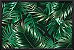 Quadro Palmeira Tropical - Imagem 1