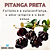 Essência Aromática de Pitanga Preta 10ml - Imagem 7