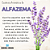Essência Aromática de Alfazema 10ml - Imagem 7