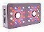 Painel de LED BioLedz Evolution Cree COB DOUBLE - 245w - Bivolt - Imagem 1