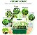 Kit Germinação com Led - 2 Domos com 6 Células - Imagem 4