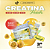 EVOLUE CREATINA FRESH 300G - EVOLUE - Imagem 6