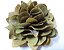 Flor de cardo natural - Imagem 1