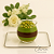 Kit Charmm Verrine Tradicional — 40 Vasinhos Gourmet - Imagem 6