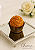 Brûlée Tropical | Brigadeiro Gourmet de Doce de Leite com Coco Tostado para Eventos - Imagem 6