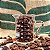 Caneca Becker de Vidro 100ml - Coffee Time - Imagem 2