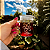 Kit Átomo — 2 Canecas Becker 150 ml + Jarra Becker 250 ml - Imagem 3