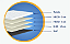 GOLD LINE ZIPER - Imagem 2