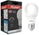 Lâmpada LED 7w Bulbo 560 lumens Avant Bivolt Econômica 6500K Branco Frio E27 (1 Ano de garantia) - Imagem 1