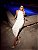 VESTIDO PRISCILA - Imagem 3