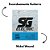 Encordoamento Guitarra 010 Sg Nickel Wound Corda Mi Extra - Imagem 3