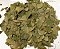 GINKGO BILOBA FOLHAS 100G - Imagem 1