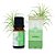 ÓLEO ESSENCIAL CITRONELA DERMACLEAN 10ML - Imagem 1