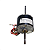 Motor Ventilador WEG para ACJ 1/20CV 127V 7.000 BTU/h - Imagem 3