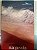 Na Praia, de Ian McEwan - Imagem 1