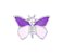 Charm - Borboleta Rosa e Roxa - Imagem 1