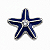 Charm - Estrela do Mar Azul - Imagem 1