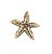 Charm - Estrela Ouro Especial - Imagem 1
