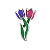 Charm - Tulipa Especial - Imagem 1