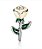 Charm - Rosa Branca Especial - Imagem 1
