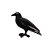 Charm - Corvo Especial - Imagem 1