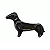Charm - Dachshund Preto (Cachorro Salsicha) - Imagem 1