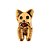 Charm - Yorkshire Ouro - Imagem 2