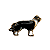 Charm - Border collie Ouro - Imagem 1