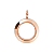 Medalhão Liso Rose - Mini - Imagem 1