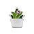 Charm - Suculenta no Vaso Especial - Imagem 1