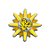 Charm - Sol - Imagem 1