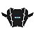 Adesivo Tiger 900 Rally 2020/21 Frontal Resinado - Imagem 2