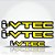 Adesivo 3d  I-vtec Compatível Civic Amarelo Resinado - Imagem 1