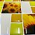Pastilha Adesiva Resinada Girassol Kit 4 Placas 3 M - Imagem 3
