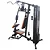 Estação de Musculação FT 9500 com 50 kg Evolution Fitness - Imagem 2