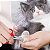 Mini Tesoura  pet Corte De Unhas - Imagem 5
