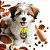 50 Gravatas Pet Shop Páscoa Estampada EVA Cão Gato - Imagem 7