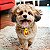 10 Gravatinhas Personagens Pet Shop Banho e Tosa - Imagem 5