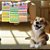 Kit com 238 Adesivos Sticker Pet 03 Cartelas Cão e Gato - Imagem 4