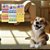 Kit com 168 Adesivos Sticker Pet 03 Cartelas Cão e Gato - Imagem 4
